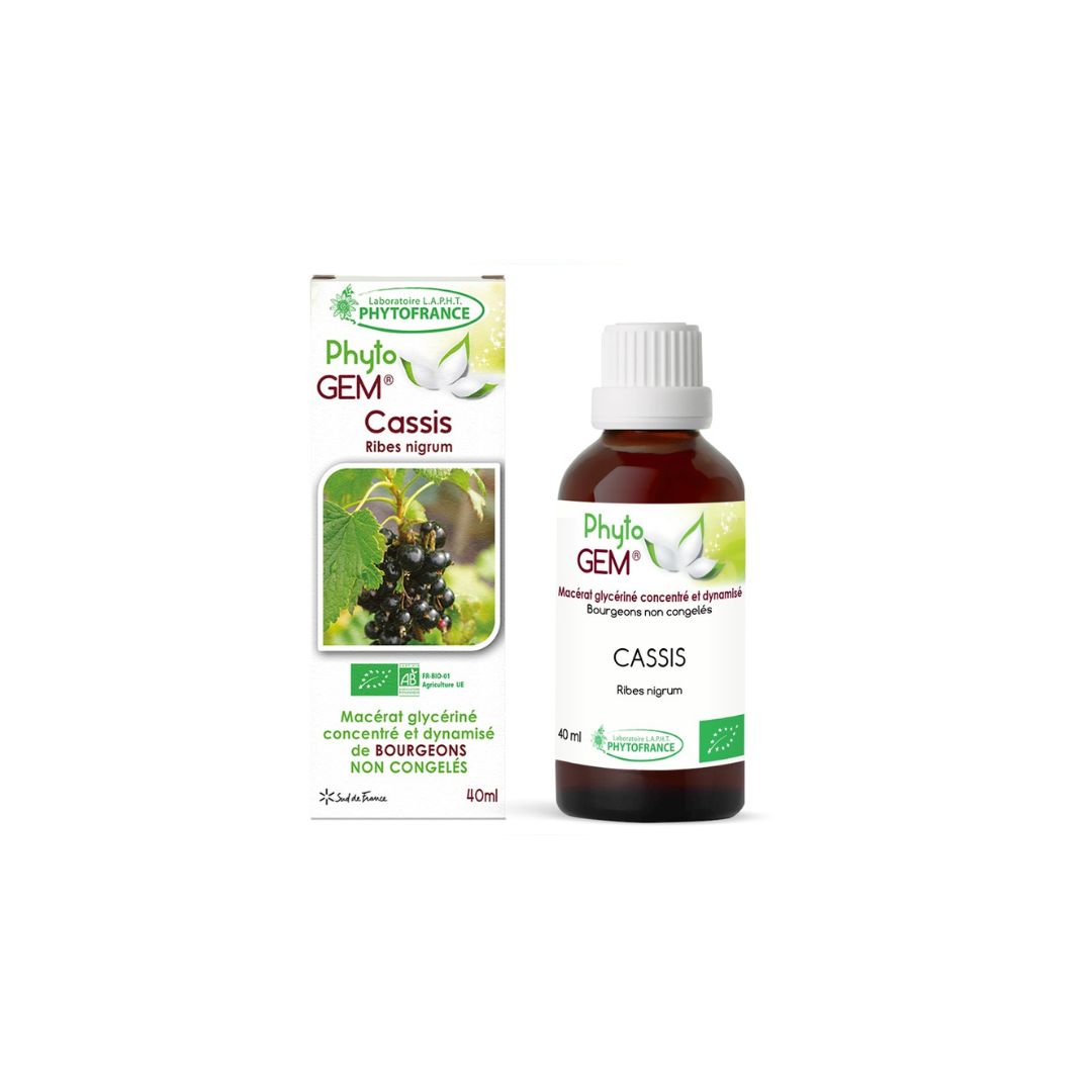 Cassis Gemmo Concentrée 40ml - PHYTO'GEM