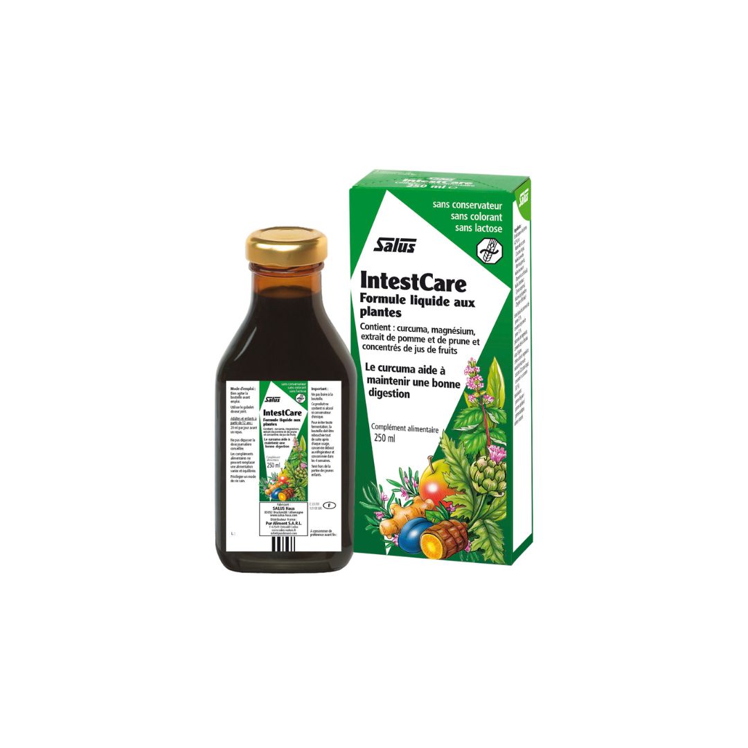 Floradix Intestcare Tuméric Bio active tonic 250ml - SALUS