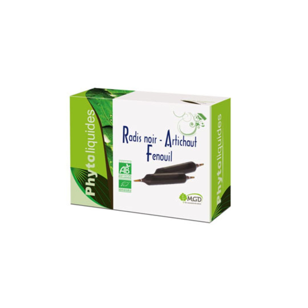 Radis Noir/Artichaut Bio - MGD