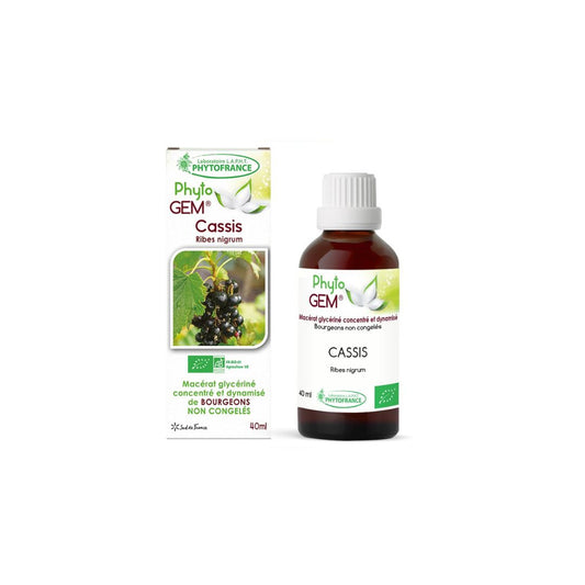 Cassis Gemmo Concentrée 40ml - PHYTO'GEM