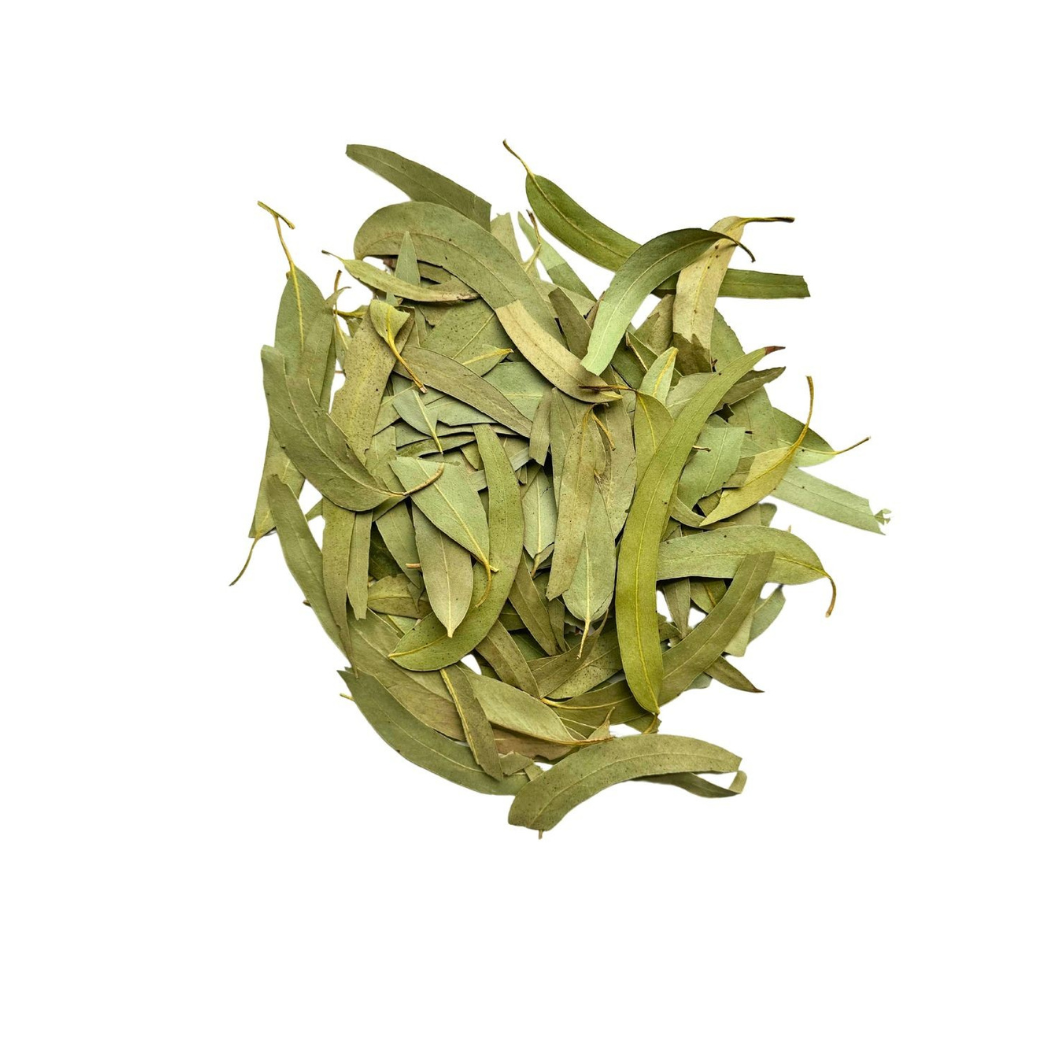 Eucalyptus Globulus Feuille Coupée Bio 100g