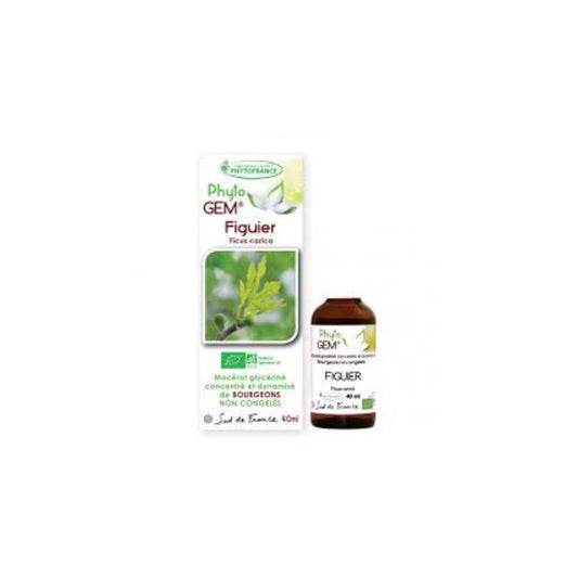 Figuier Gemmo Concentrée 40ml - PHYTO'GEM