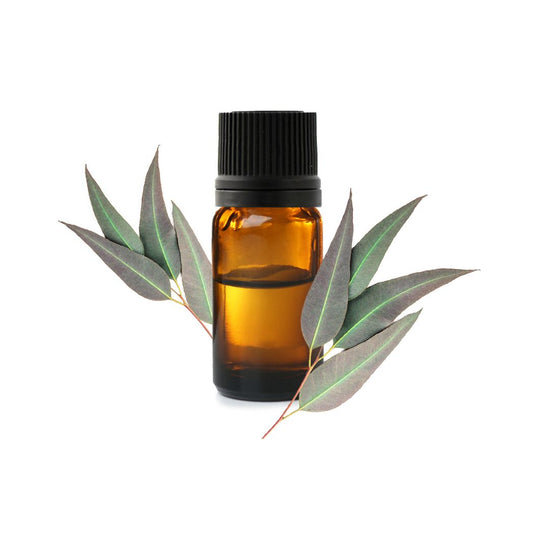 Huile Essentielle d'Eucalyptus Citronnée Bio 10ml