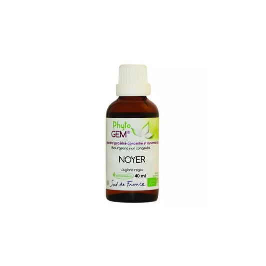 Noyer Gemmo Concentrée 40ml PHYTO GEM