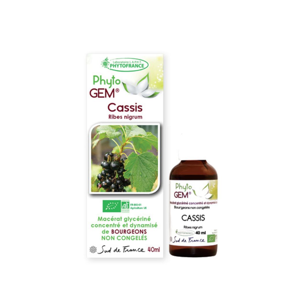 Cassis Gemmo Concentrée 40ml PHYTO'GEM