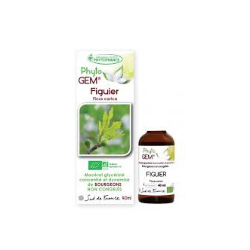 Figuier Gemmo Concentrée 40ml PHYTO'GEM