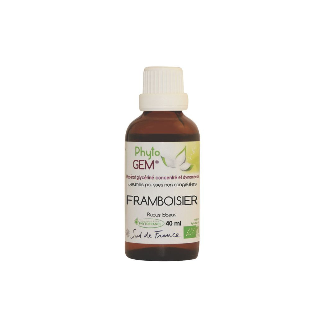 Framboisier Concentrée 40ml Bio PHYTO GEM