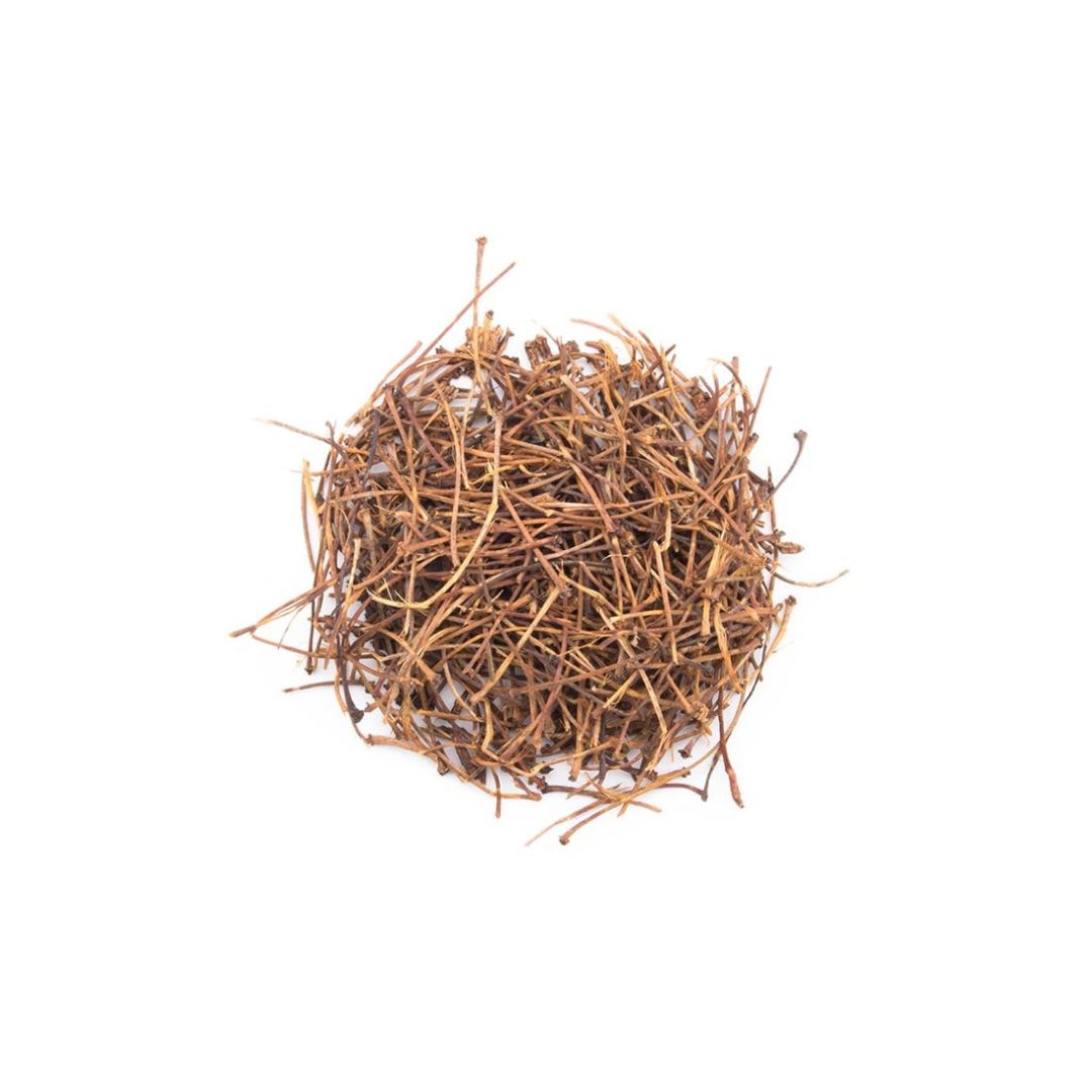 Queue de Cerise Bio 100g