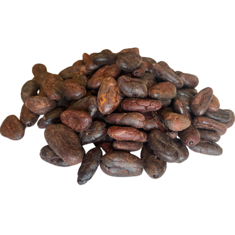 Fèves de Cacao en Vrac 100g